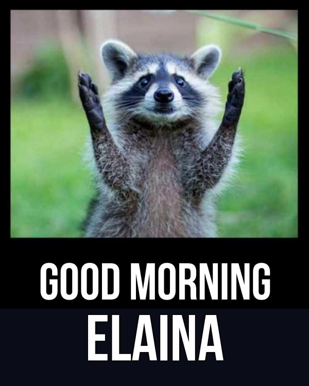 Greetings card с именем, Elaina Good morning хорошее настроение утречком Greetings with text for free download 