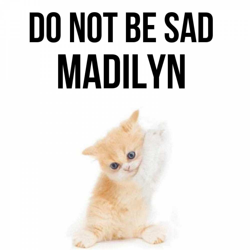 Greetings card с именем, Madilyn Do not be sad просящий кот Greetings with text for free download 