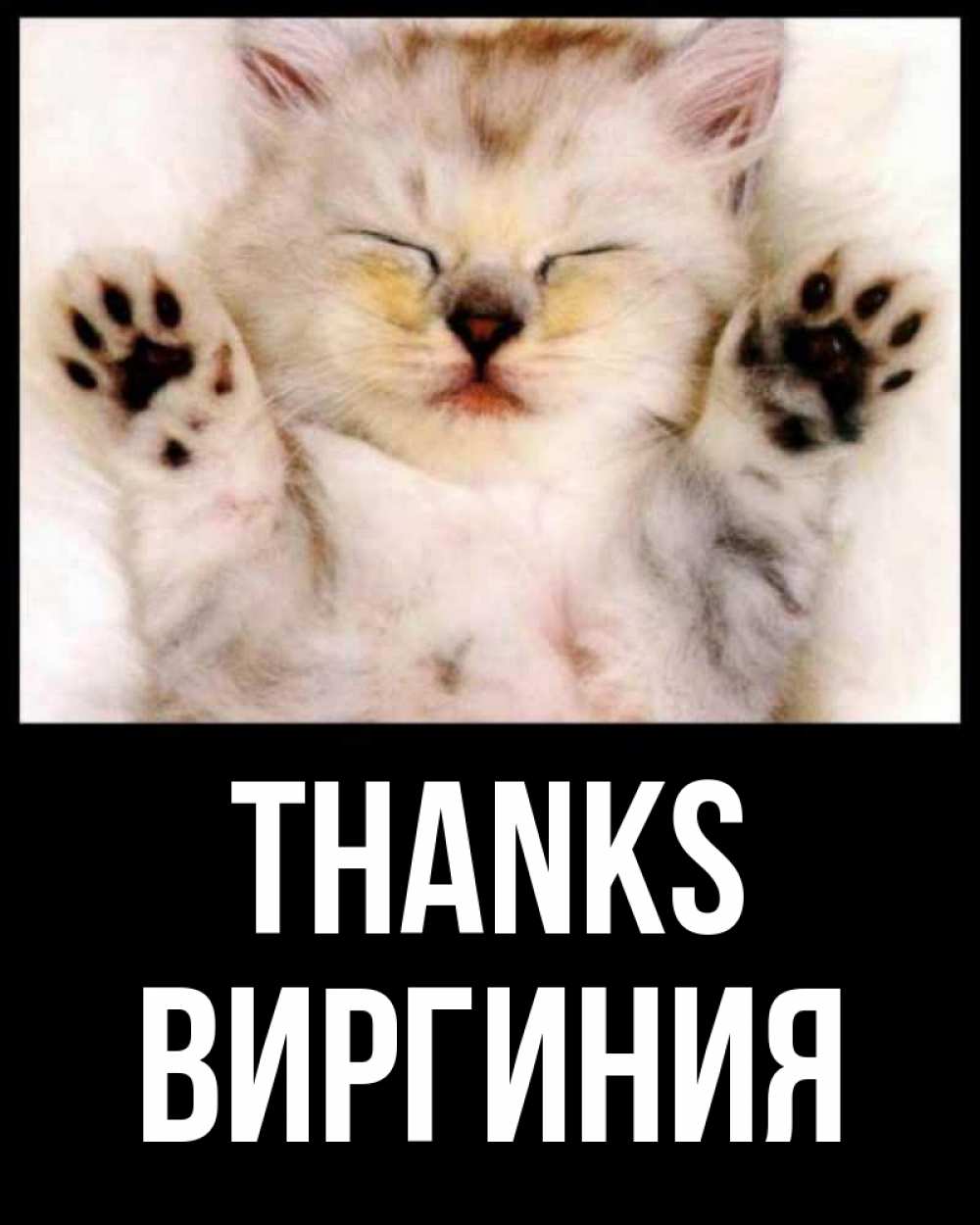 Greetings card с именем, Виргиния Thanks маленький котенок Greetings with text for free download 