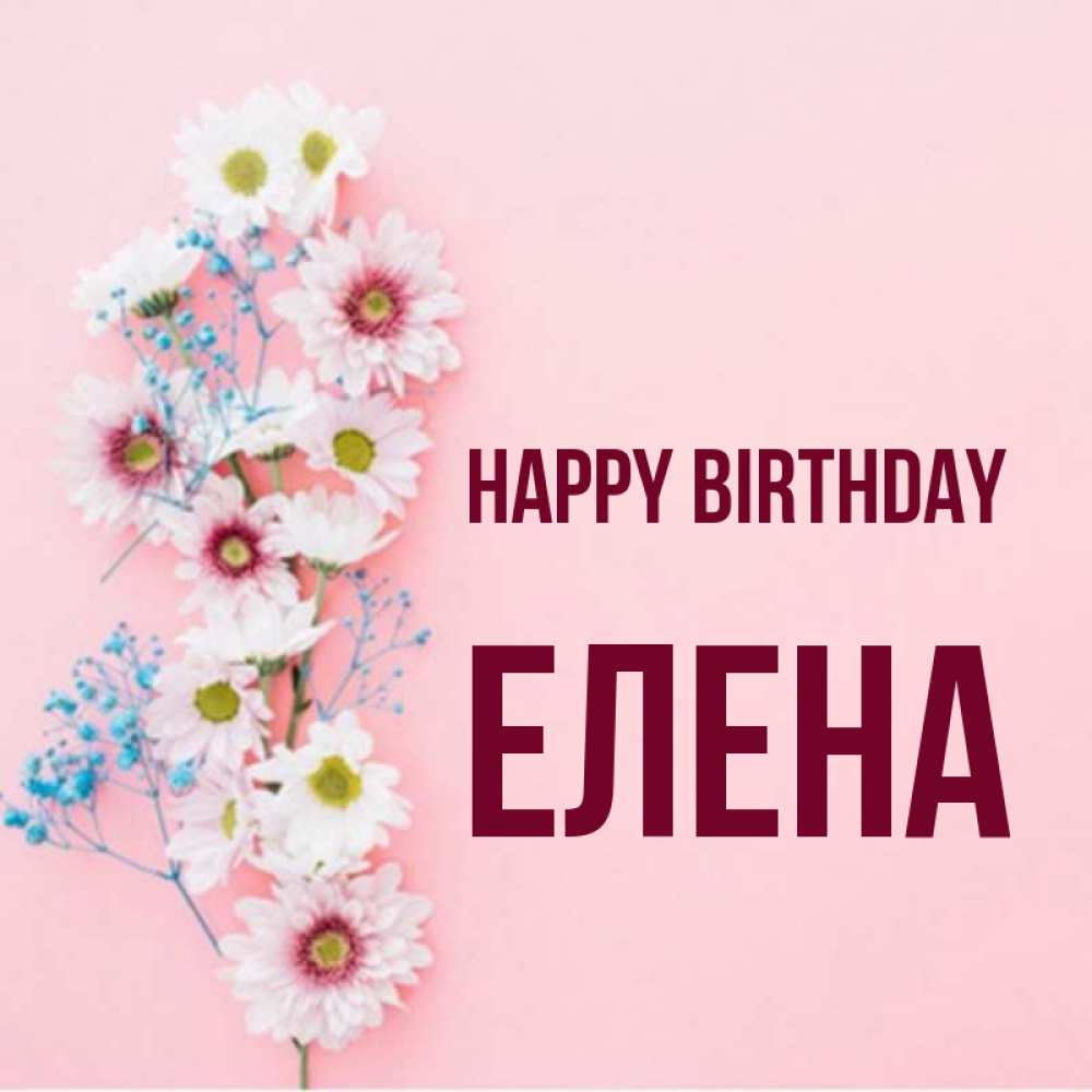 Greetings card с именем, Елена Happy Birthday Родная моя с днем рождения тебя картинка с цветами белыми и голубыми Greetings with text for free download 