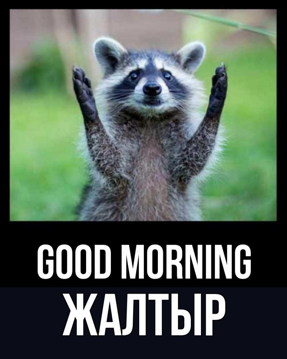 Greetings card с именем, Жалтыр Good morning хорошее настроение утречком Greetings with text for free download 