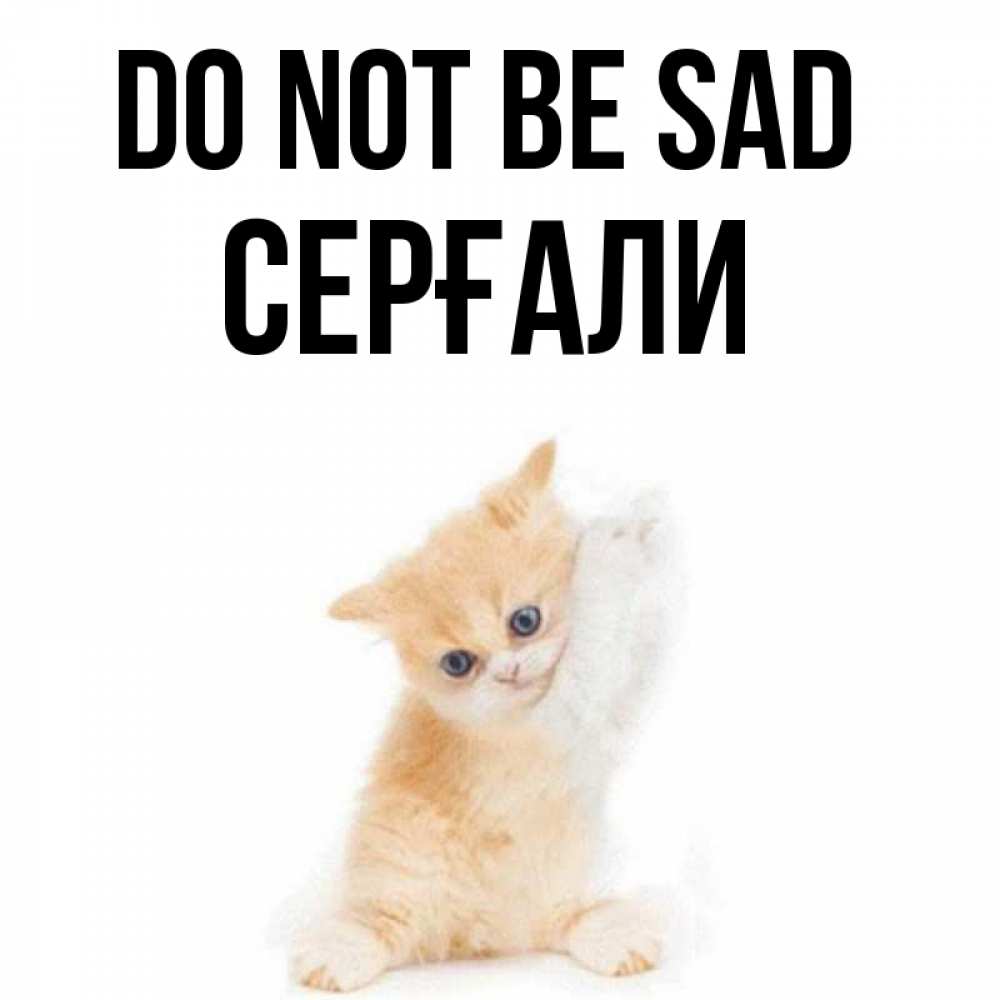 Greetings card с именем, СЕРҒАЛИ Do not be sad просящий кот Greetings with text for free download 