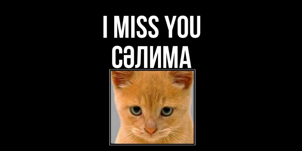Greetings card с именем, СӘЛИМА I miss you открытки рыжий котенок скучает по тебе Greetings with text for free download 