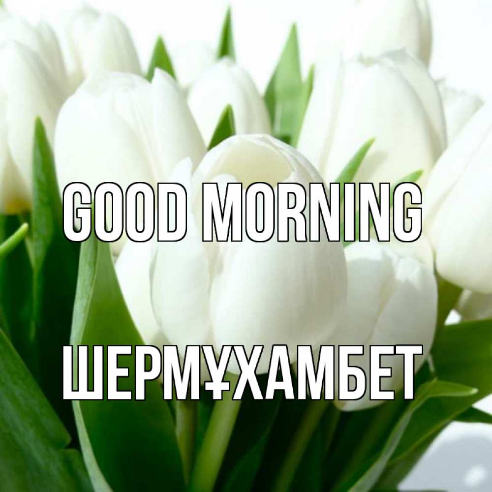 Greetings card с именем, ШЕРМҰХАМБЕТ Good morning открытки на каждый день по именам Greetings with text for free download 