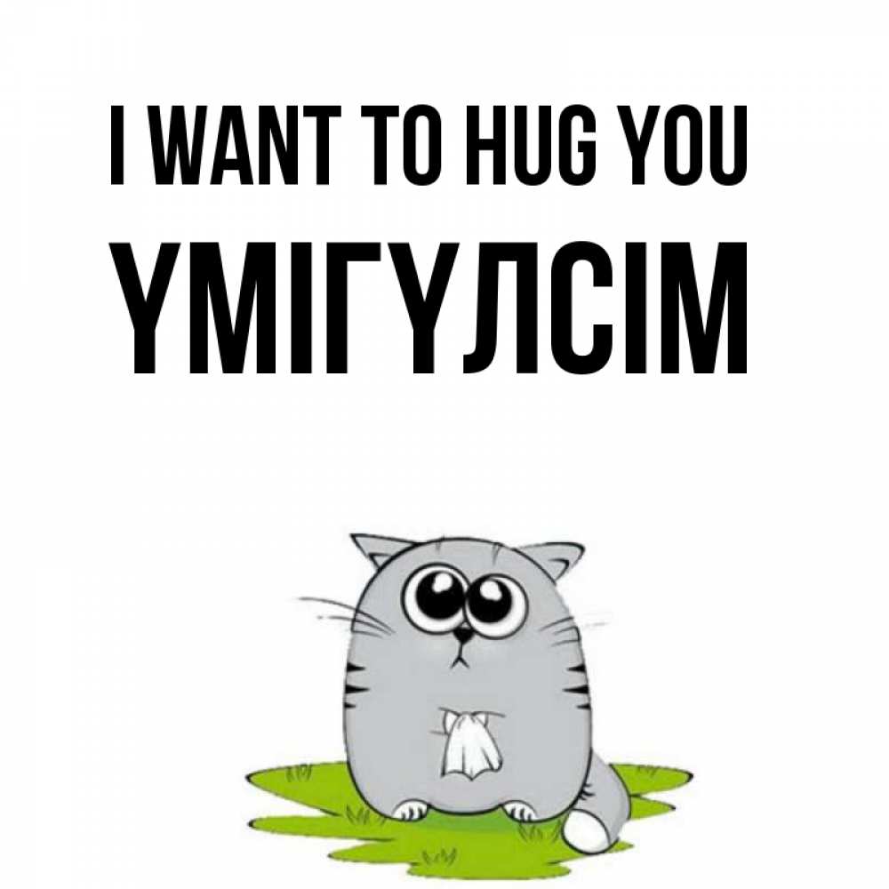 Greetings card с именем, ҮМІГҮЛСІМ I want to hug you котик теребит платочек сидя на травке Greetings with text for free download 