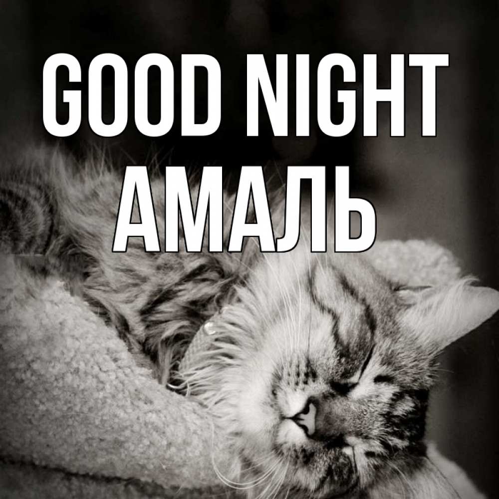 Greetings card с именем, Амаль Good night котярик пушистый Greetings with text for free download 