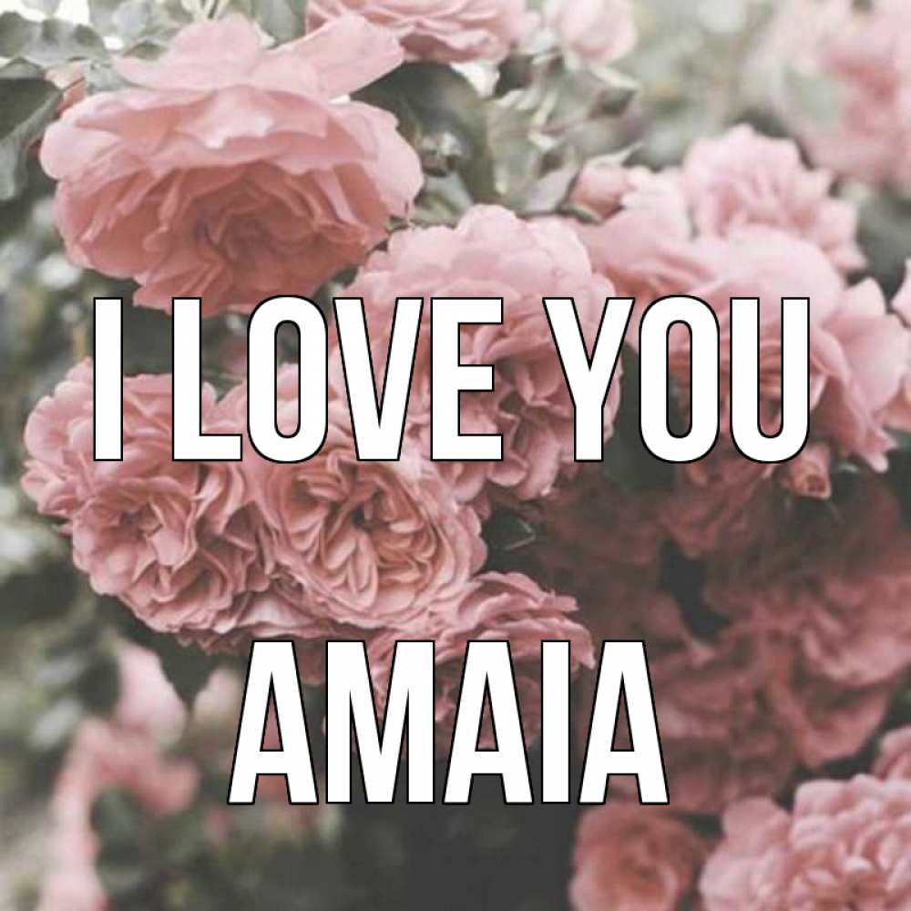 Greetings card с именем, Amaia I love you розы 3 Greetings with text for free download 