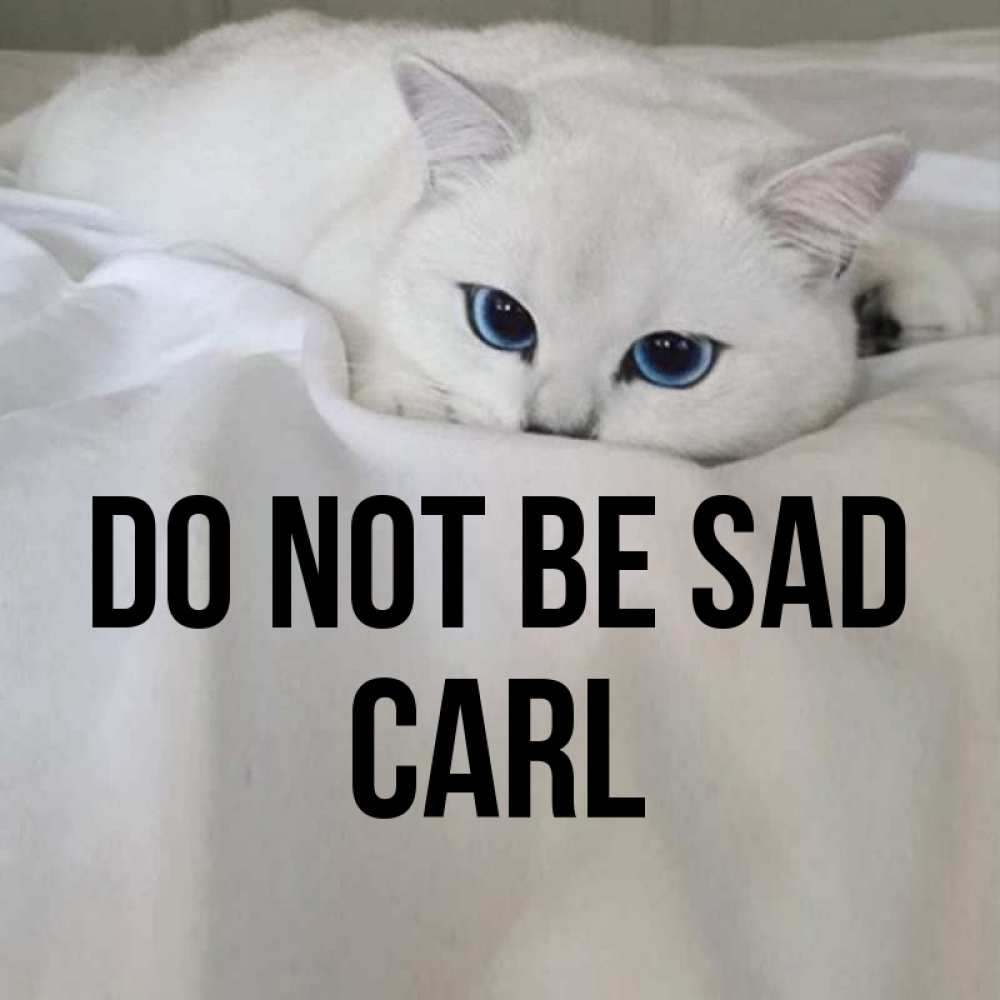 Greetings card с именем, Carl Do not be sad Голубоглазая кошка Greetings with text for free download 