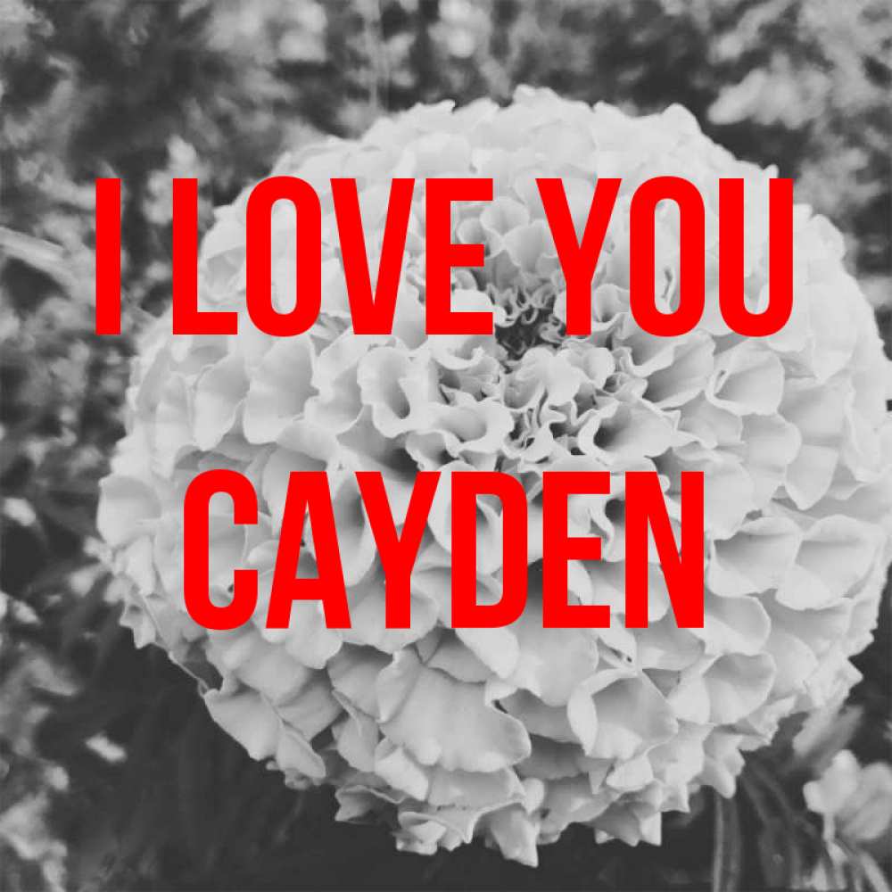 Greetings card с именем, Cayden I love you подпись Greetings with text for free download 