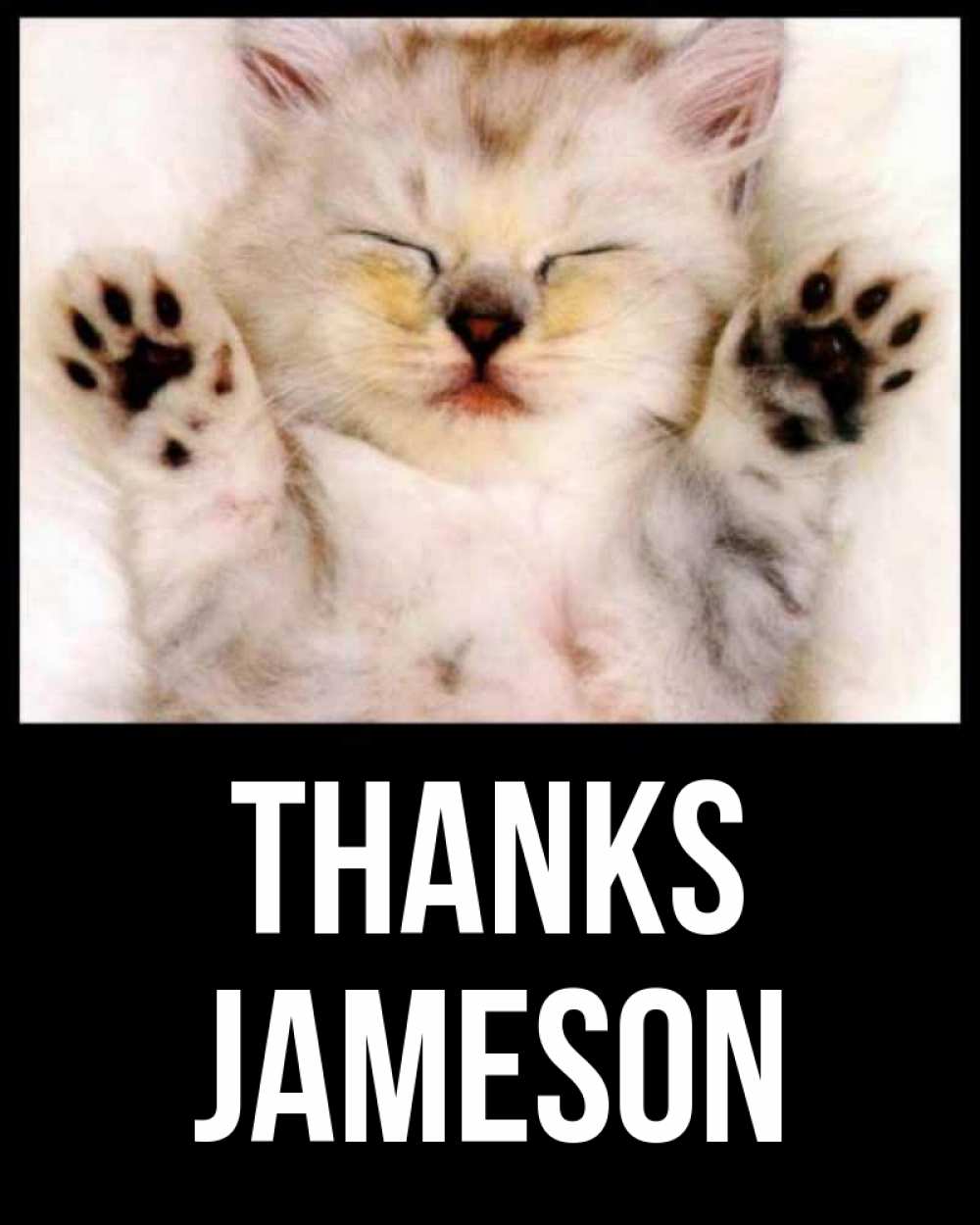 Greetings card с именем, Jameson Thanks маленький котенок Greetings with text for free download 
