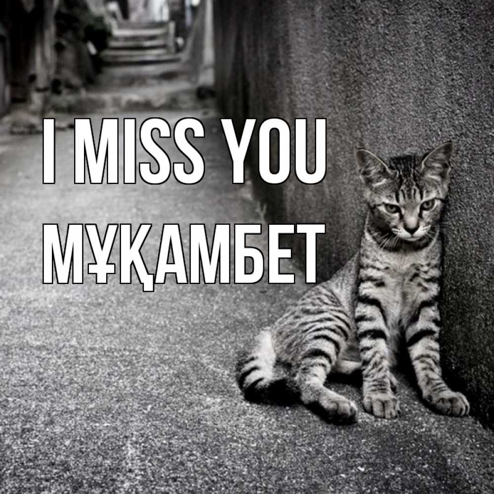 Greetings card с именем, МҰҚАМБЕТ I miss you одиноко котику Greetings with text for free download 