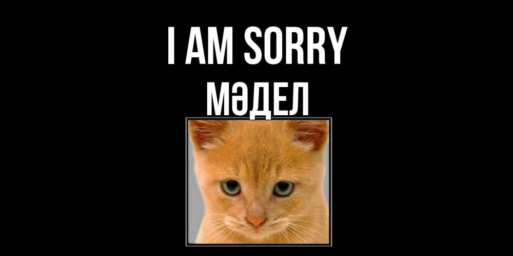 Greetings card с именем, МӘДЕЛ I am sorry рыжий грустный кот просит прощения Greetings with text for free download 
