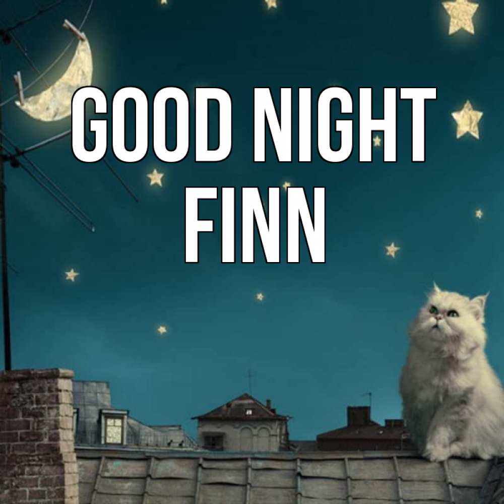 Greetings card с именем, Finn Good night белый кот сидит на крыше Greetings with text for free download 
