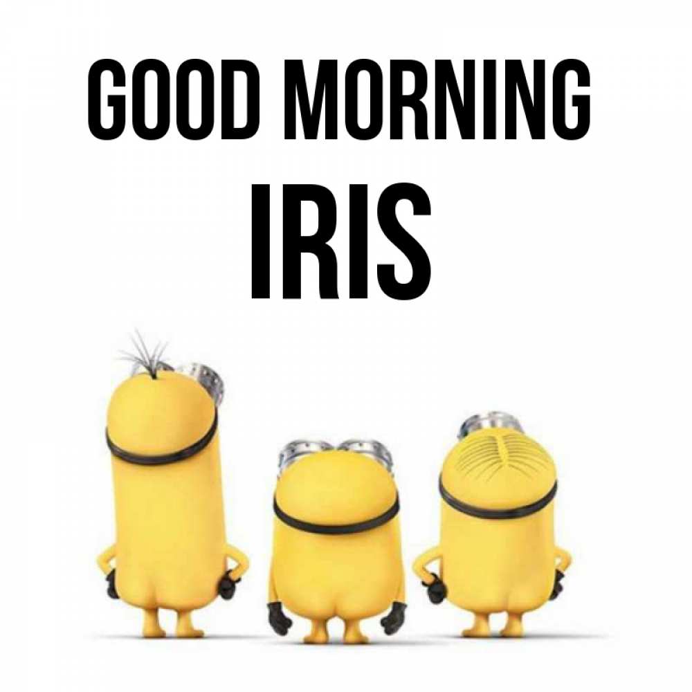 Greetings card с именем, Iris Good morning подписать открытку онлайн бесплатно Greetings with text for free download 