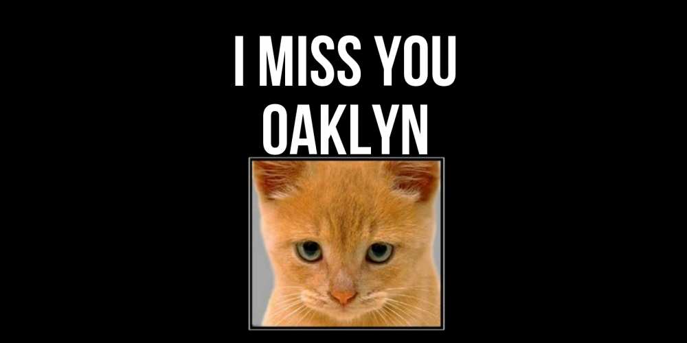 Greetings card с именем, Oaklyn I miss you открытки рыжий котенок скучает по тебе Greetings with text for free download 