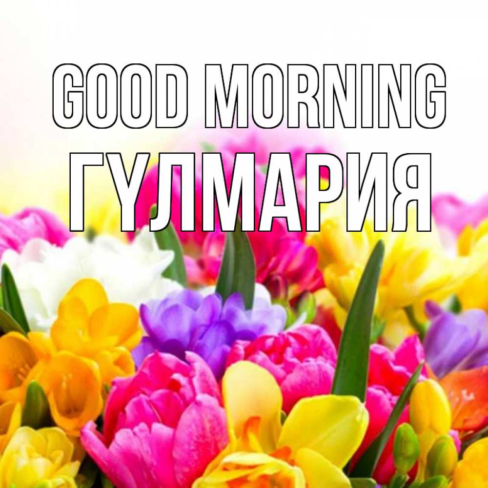 Greetings card с именем, ГҮЛМАРИЯ Good morning создать открытку со свое подписью Greetings with text for free download 