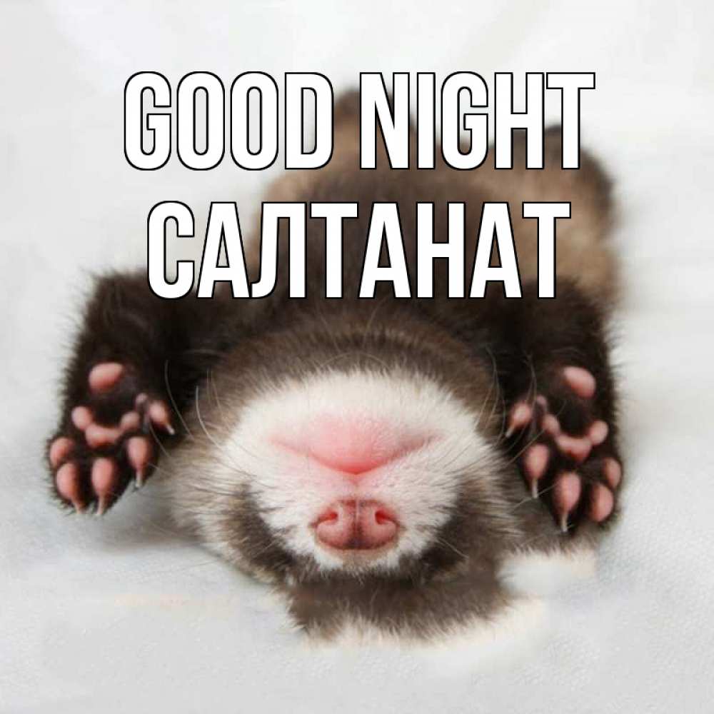 Greetings card с именем, САЛТАНАТ Good night зверек Greetings with text for free download 