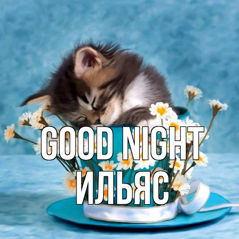 Greetings card с именем, Ильяс Good night котенок спит в кружке с блюдцем Greetings with text for free download 