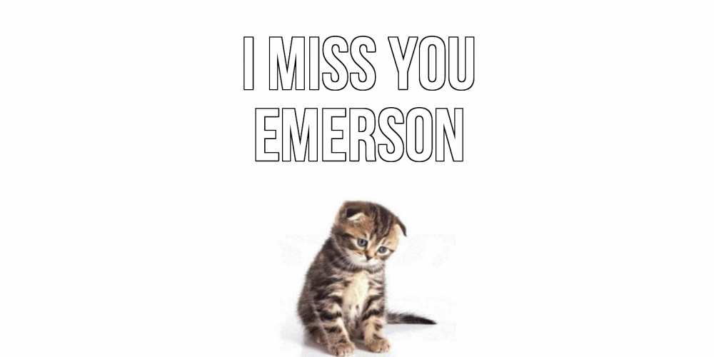 Greetings card с именем, Emerson I miss you кот Greetings with text for free download 