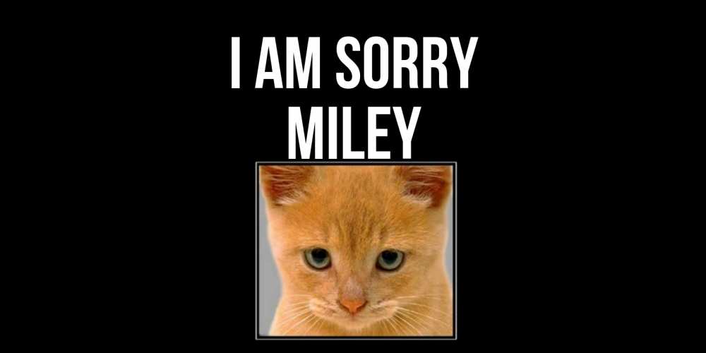 Greetings card с именем, Miley I am sorry рыжий грустный кот просит прощения Greetings with text for free download 