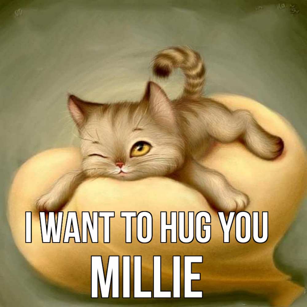 Greetings card с именем, Millie I want to hug you кошечка Greetings with text for free download 