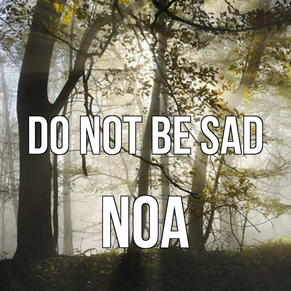 Greetings card с именем, Noa Do not be sad лес и свет Greetings with text for free download 