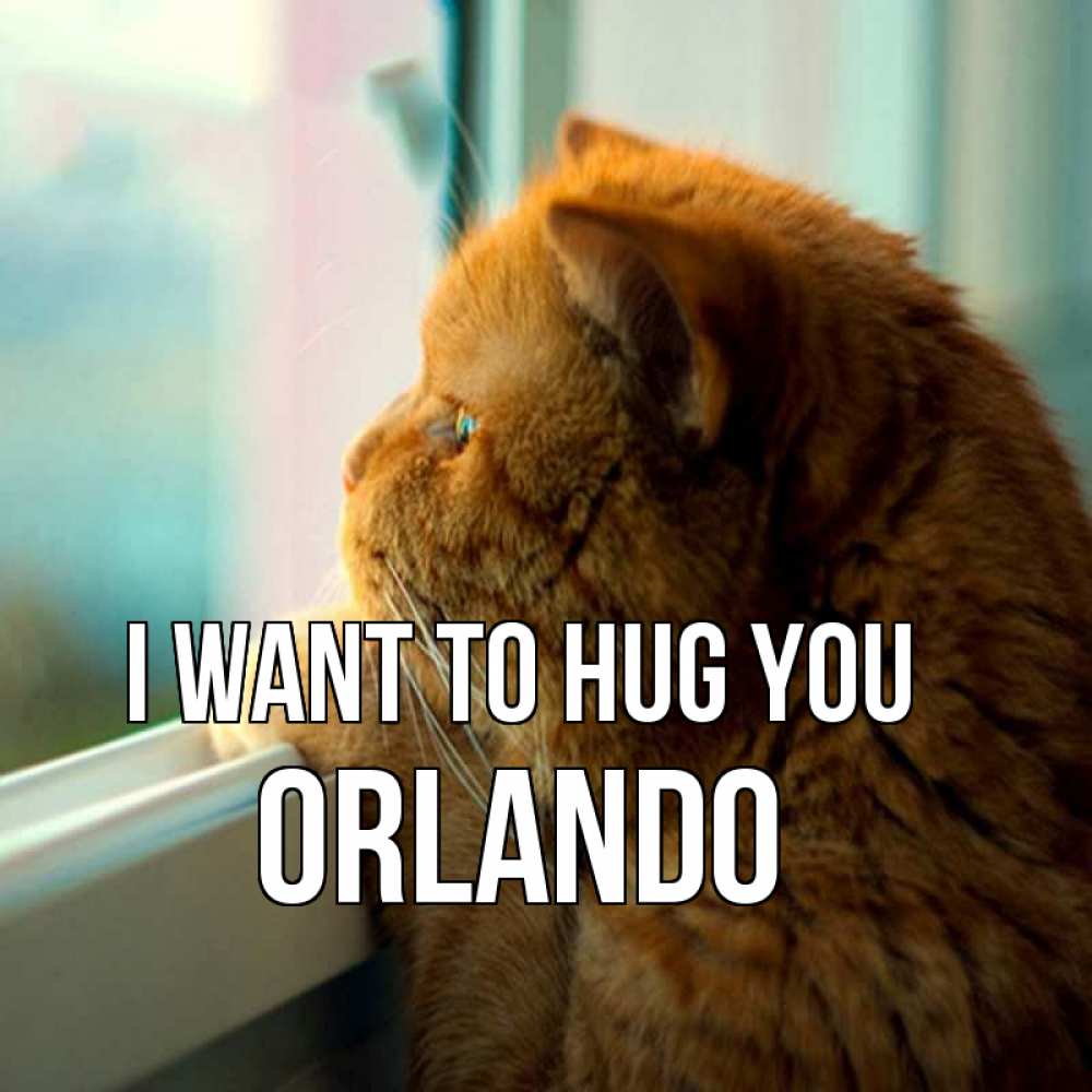 Greetings card с именем, Orlando I want to hug you большой огромный рыжий котяра Greetings with text for free download 
