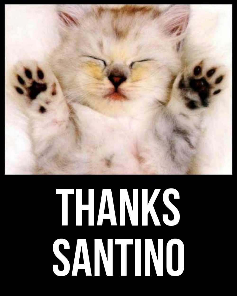 Greetings card с именем, Santino Thanks маленький котенок Greetings with text for free download 