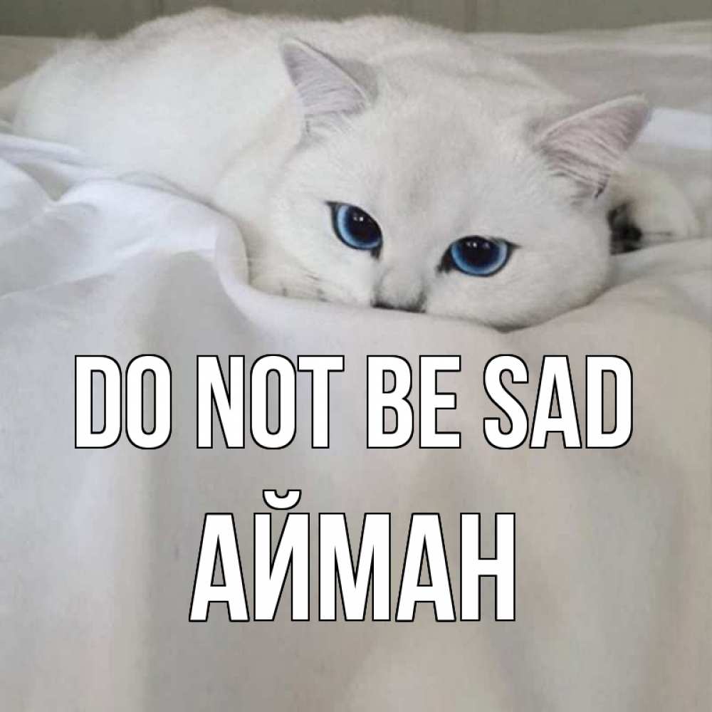 Greetings card с именем, АЙМАН Do not be sad белый кот с голубыми глазами на белоснежной кровати Greetings with text for free download 