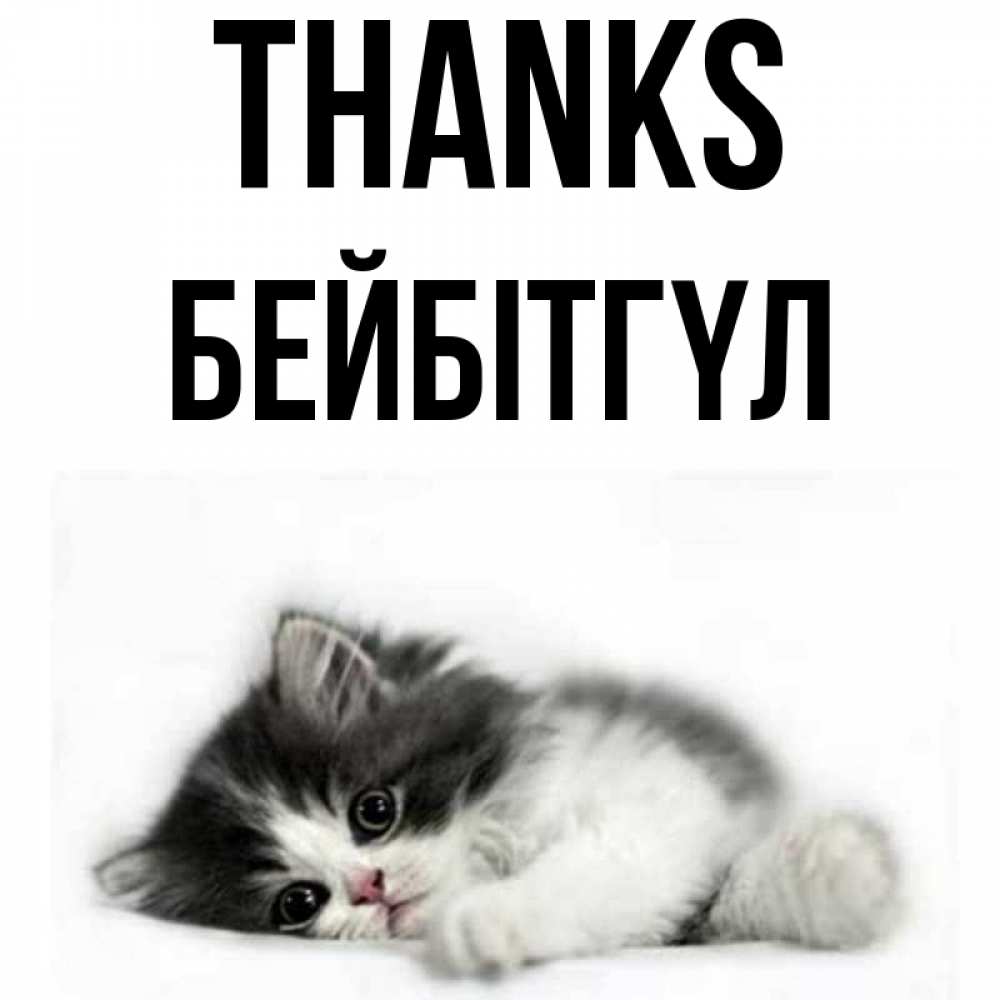 Greetings card с именем, БЕЙБІТГҮЛ Thanks черный и белый кот Greetings with text for free download 