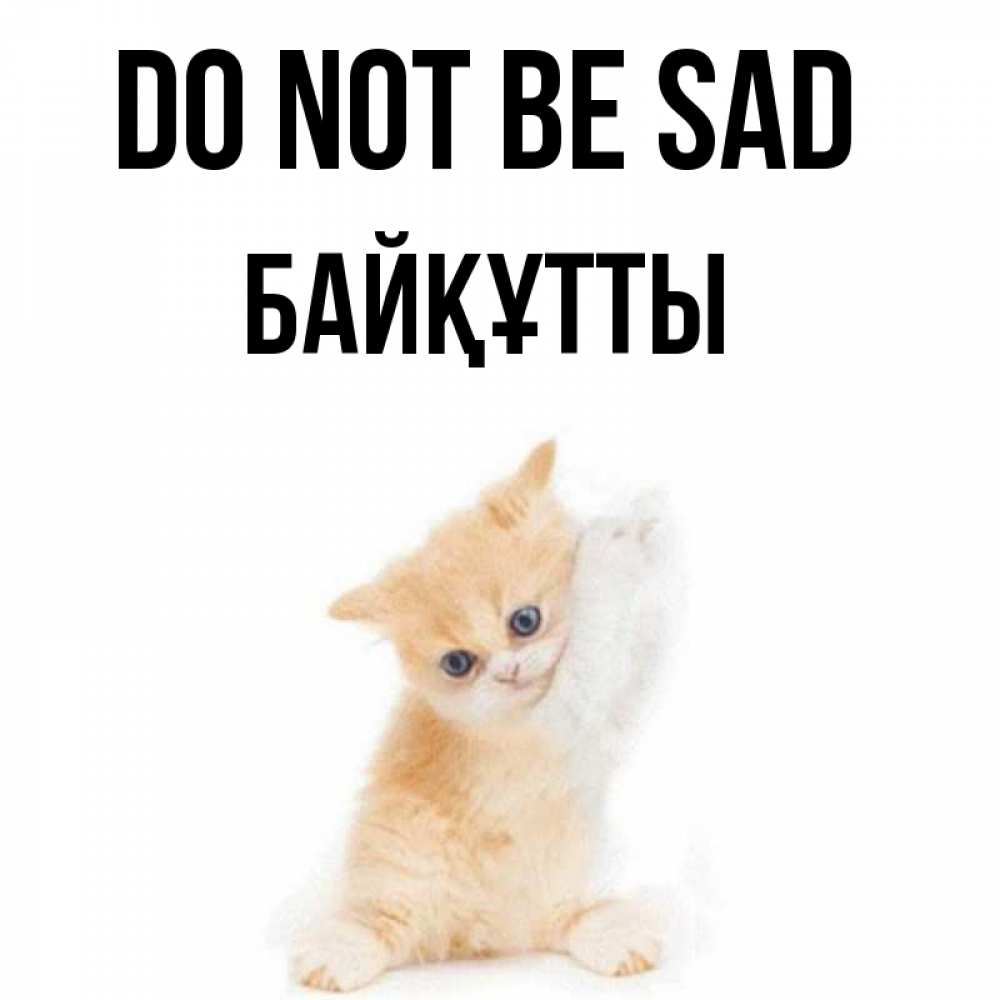 Greetings card с именем, Байқұтты Do not be sad просящий кот Greetings with text for free download 