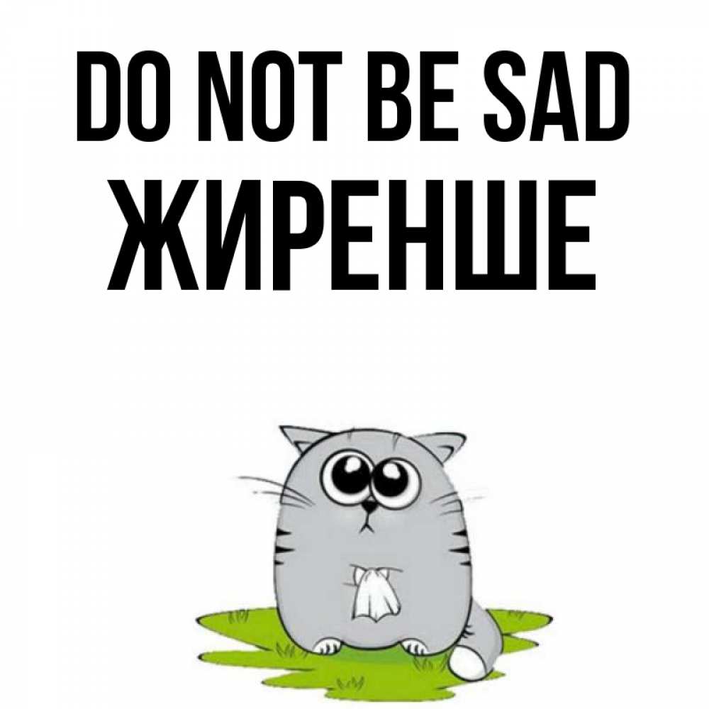 Greetings card с именем, Жиренше Do not be sad грустный котяра Greetings with text for free download 