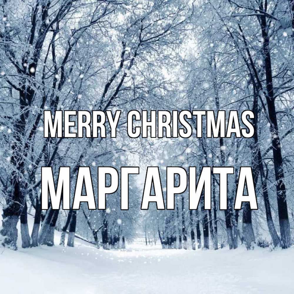 Greetings card с именем, Маргарита Merry Christmas снег, лес, парк Greetings with text for free download 