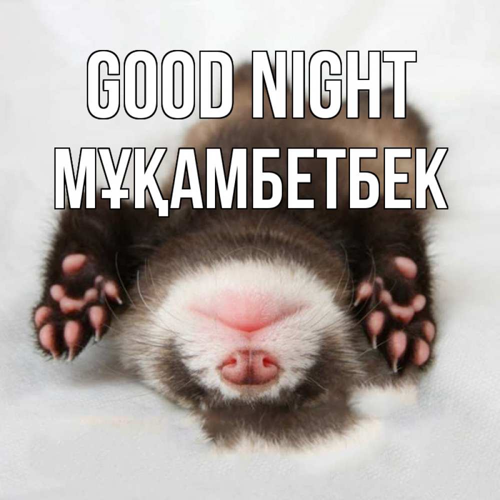 Greetings card с именем, Мұқамбетбек Good night зверек Greetings with text for free download 