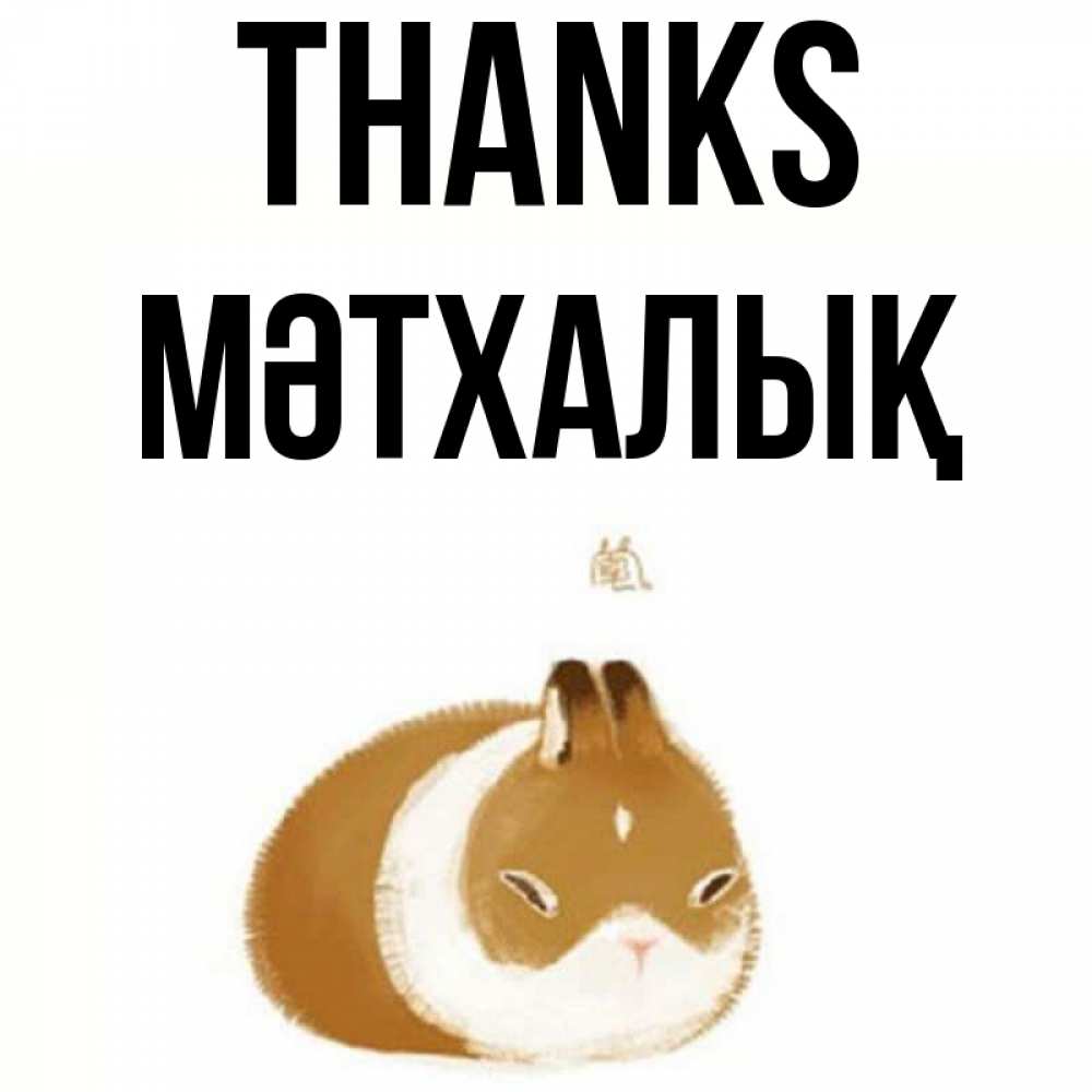 Greetings card с именем, МӘТХАЛЫҚ Thanks коричнево белый домашний питомец Greetings with text for free download 