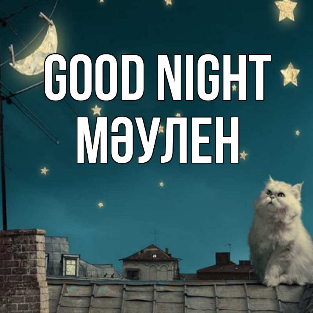Greetings card с именем, МӘУЛЕН Good night белый кот сидит на крыше Greetings with text for free download 