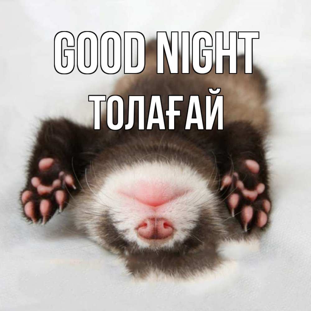 Greetings card с именем, ТОЛАҒАЙ Good night зверек Greetings with text for free download 