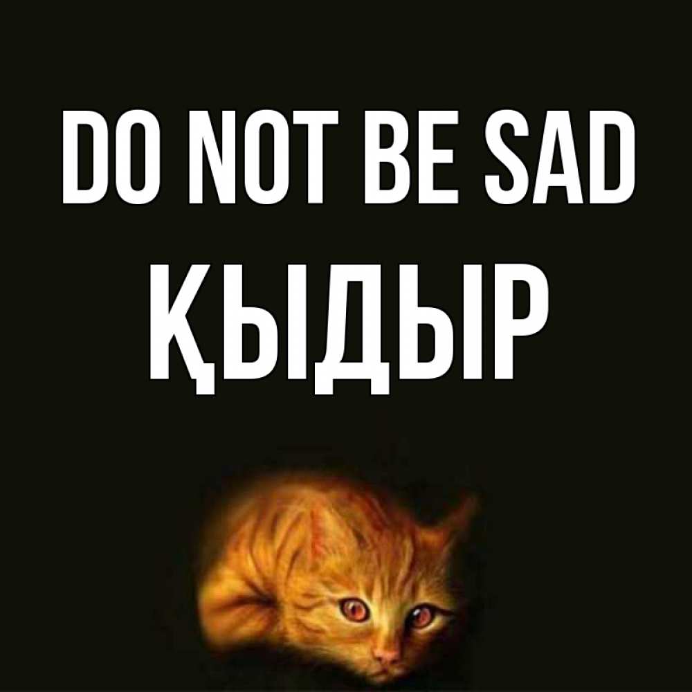 Greetings card с именем, ҚЫДЫР Do not be sad лежащий кот в темноте Greetings with text for free download 