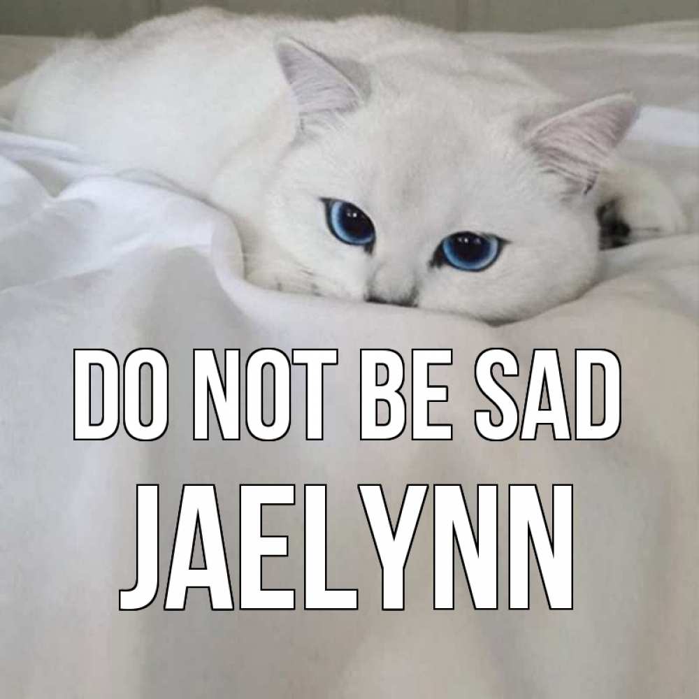 Greetings card с именем, Jaelynn Do not be sad белый кот с голубыми глазами на белоснежной кровати Greetings with text for free download 