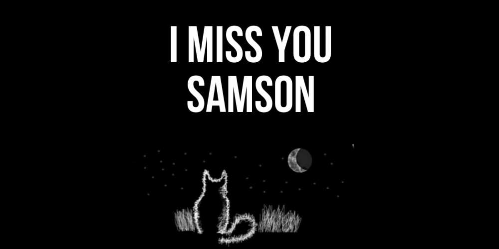 Greetings card с именем, Samson I miss you кот Greetings with text for free download 