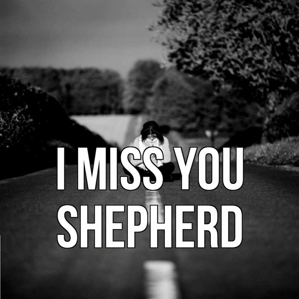 Greetings card с именем, Shepherd I miss you фото Greetings with text for free download 