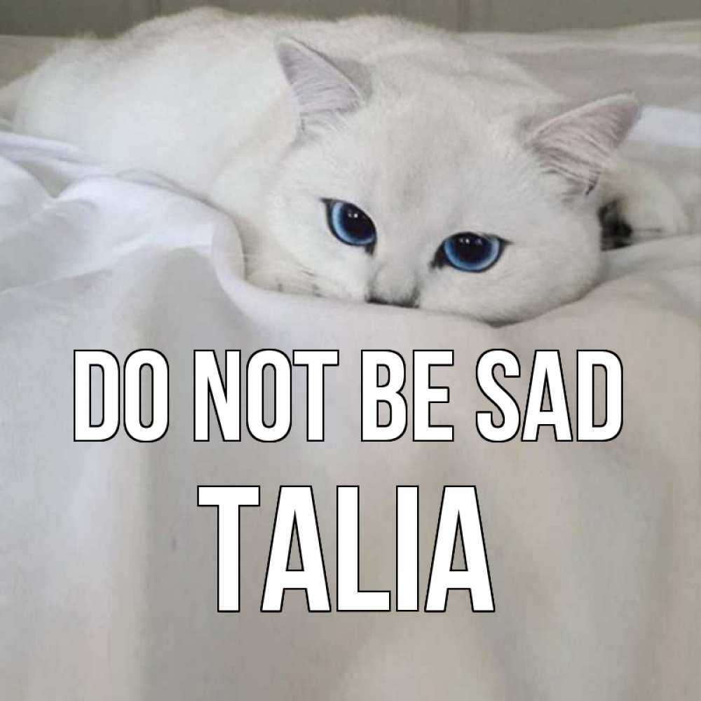 Greetings card с именем, Talia Do not be sad белый кот с голубыми глазами на белоснежной кровати Greetings with text for free download 
