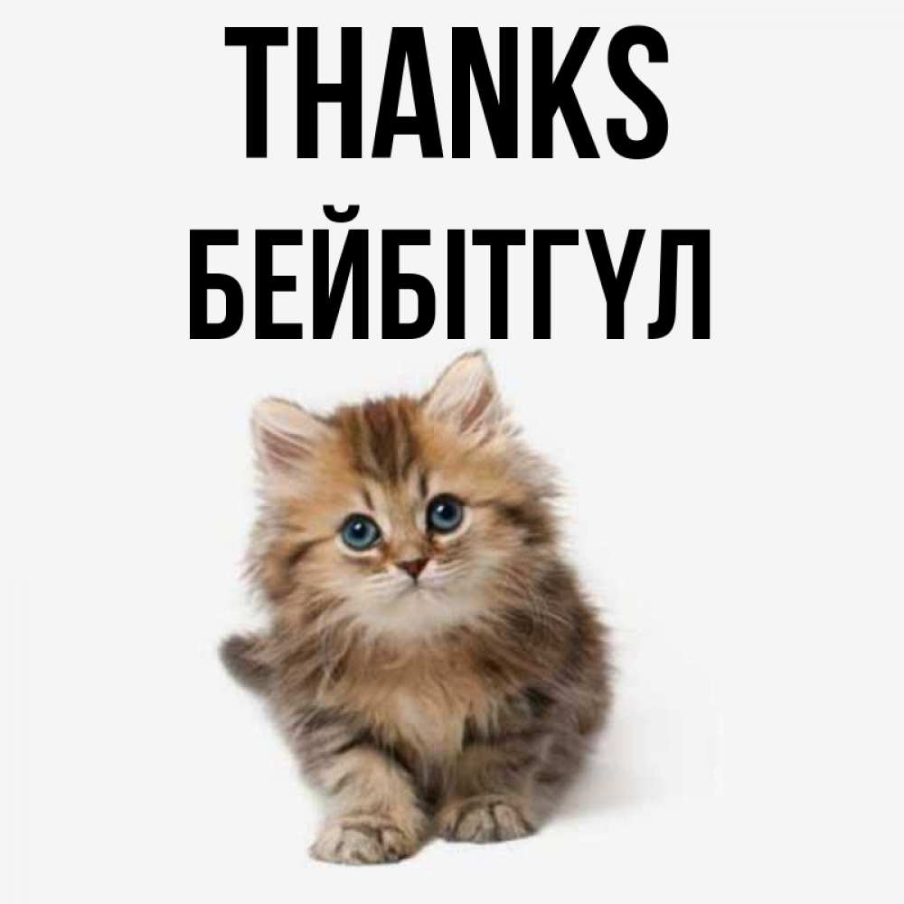 Greetings card с именем, БЕЙБІТГҮЛ Thanks пушистый котик Greetings with text for free download 