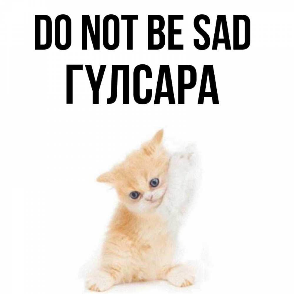 Greetings card с именем, ГҮЛСАРА Do not be sad просящий кот Greetings with text for free download 