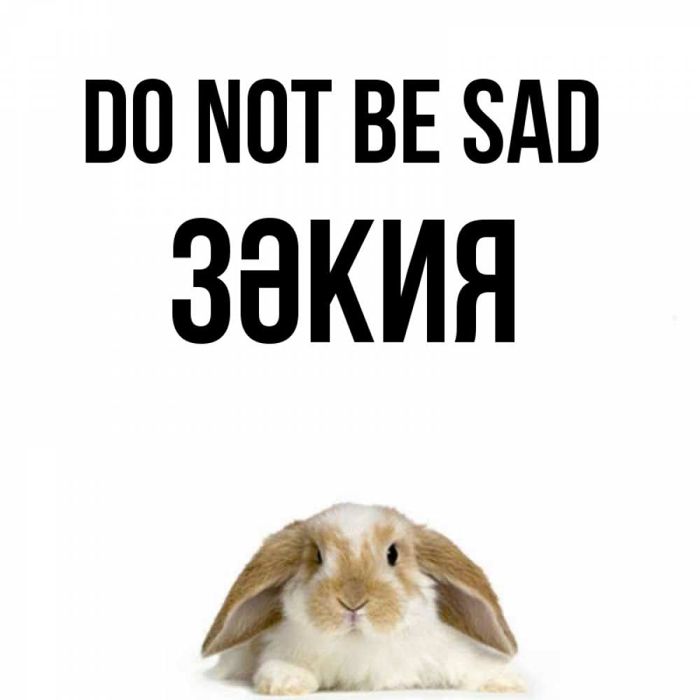 Greetings card с именем, ЗӘКИЯ Do not be sad коричнево белый заяц с большими ушками Greetings with text for free download 