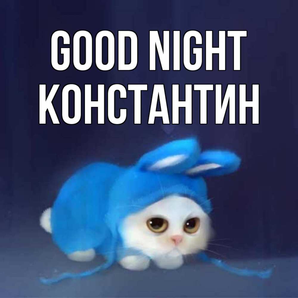 Greetings card с именем, Константин Good night кот в голубом костюме кролика с ушками Greetings with text for free download 