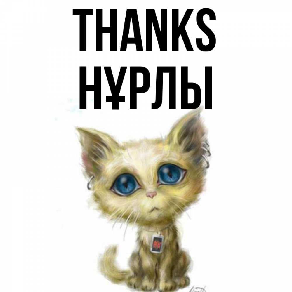 Greetings card с именем, НҰРЛЫ Thanks рисованный кот благодарит вас Greetings with text for free download 