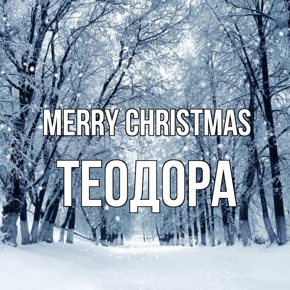 Greetings card с именем, Теодора Merry Christmas снег, лес, парк Greetings with text for free download 