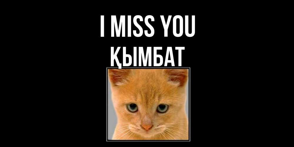 Greetings card с именем, ҚЫМБАТ I miss you открытки рыжий котенок скучает по тебе Greetings with text for free download 