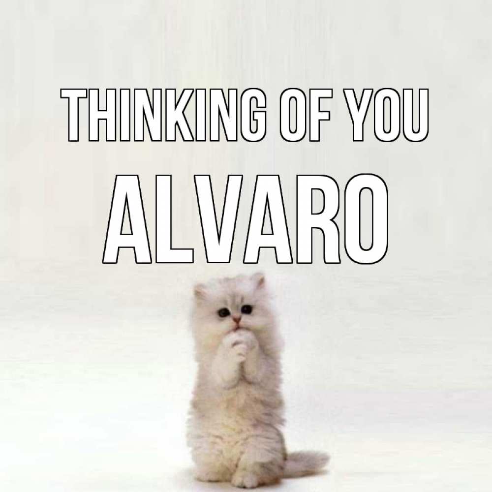 Greetings card с именем, Alvaro Thinking of you кот стоит на задних лапах Greetings with text for free download 